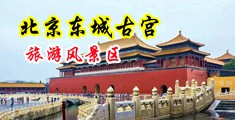 亚洲午夜男人中国北京-东城古宫旅游风景区